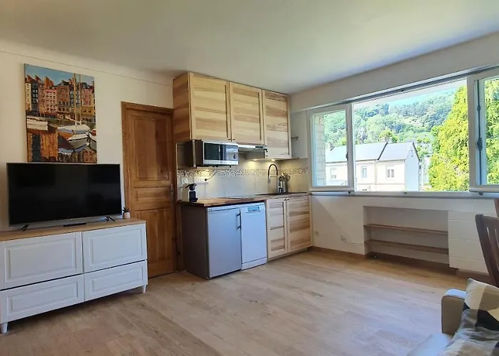 Edelweiss הונפלר