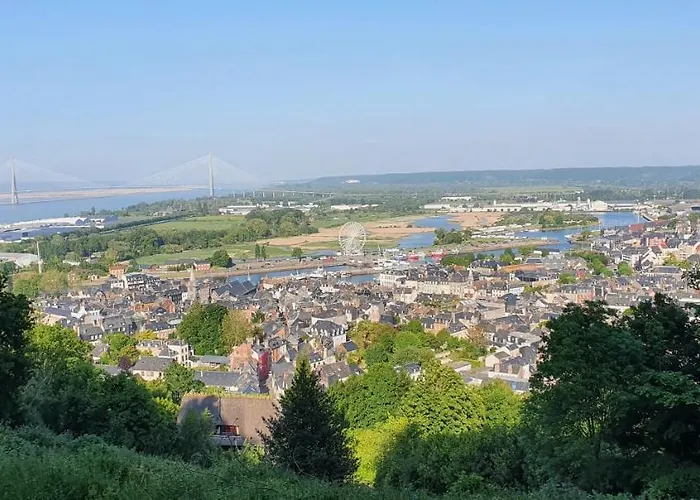 Edelweiss הונפלר