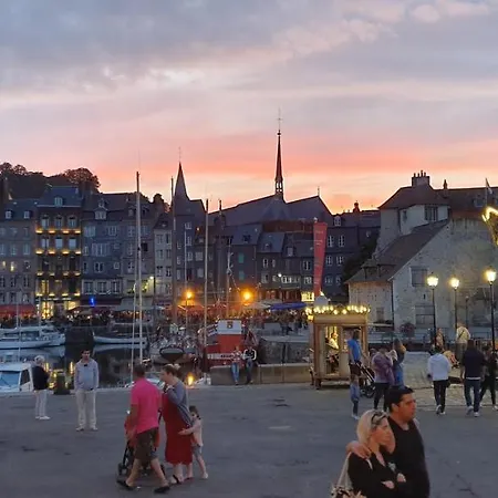 Appartement Edelweiss *