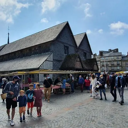 Edelweiss * Honfleur