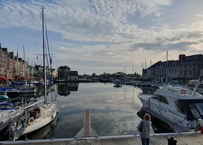 Edelweiss הונפלר